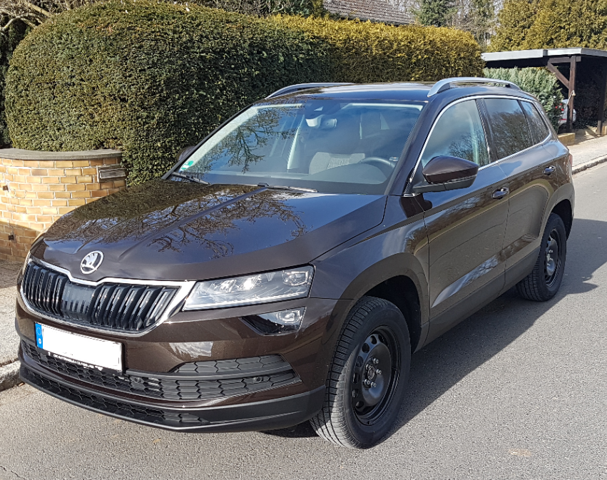 Magnetic brown skoda